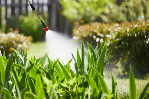 Tamper-Resistant Bait Stations for Rodents in Glenvar Heights