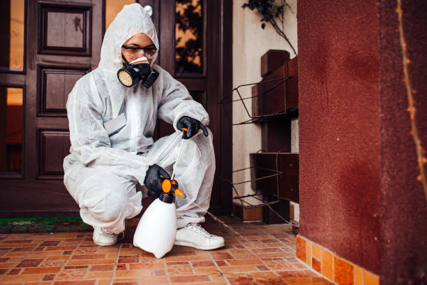 Attic and Crawl Space Rodent Treatment in Glenvar Heights